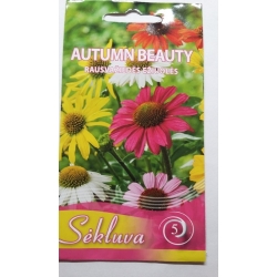 Ežiuolės mišinys Autumn Beauty 20s