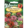 Monarda (mišinys)  0,1gr.