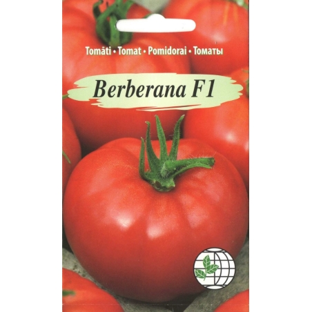 Pomidorai Berberana F1 7s