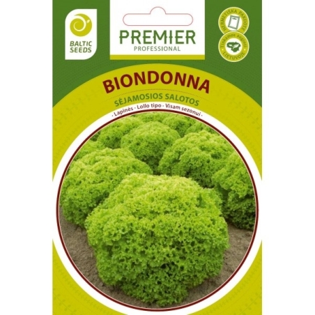 Salotos BIONDONNA, 50 sėklų baltic seeds