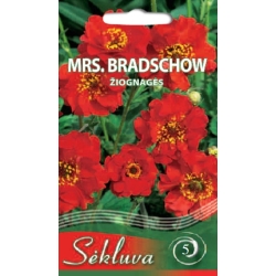 ČILINĖS ŽIOGNAGĖS MRS. BRADSCHOW 0,3gr