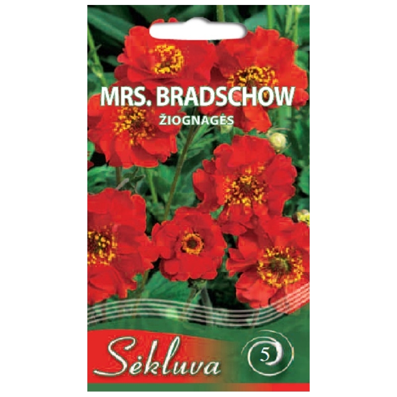 ČILINĖS ŽIOGNAGĖS MRS. BRADSCHOW 0,3gr