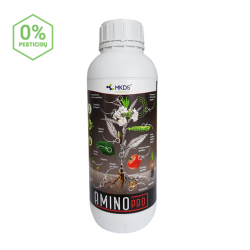 AMINO PRO AMINO RŪGŠTYS, 1 L