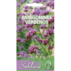 Patagoninė verbena  0,1gr