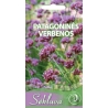 Patagoninė verbena  0,1gr