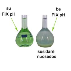 FIX PH 5,5 AGROCHEMINIAMS TIRPALAMS RUOŠTI, 100 ML