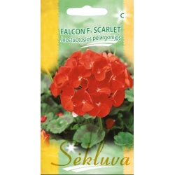 Juostuotosios pelargonijos Falcon F1 Scarlet 5s