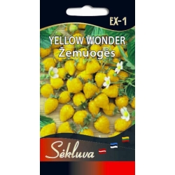 ŽEMUOGĖS YELLOW WONDER  0,1gr.