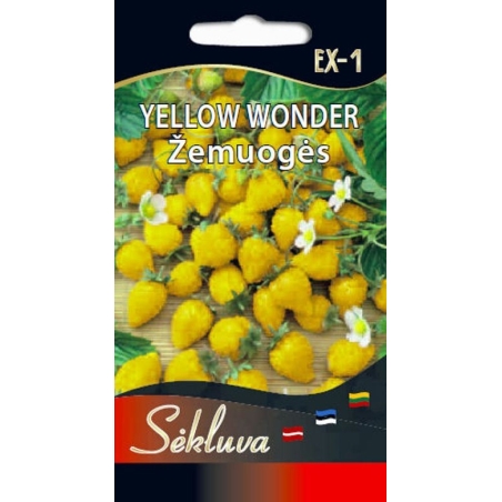 ŽEMUOGĖS YELLOW WONDER  0,1gr.