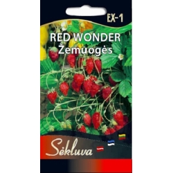 ŽEMUOGĖS RED WONDER  0,1gr.