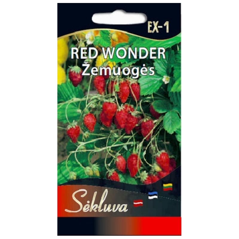 ŽEMUOGĖS RED WONDER  0,1gr.