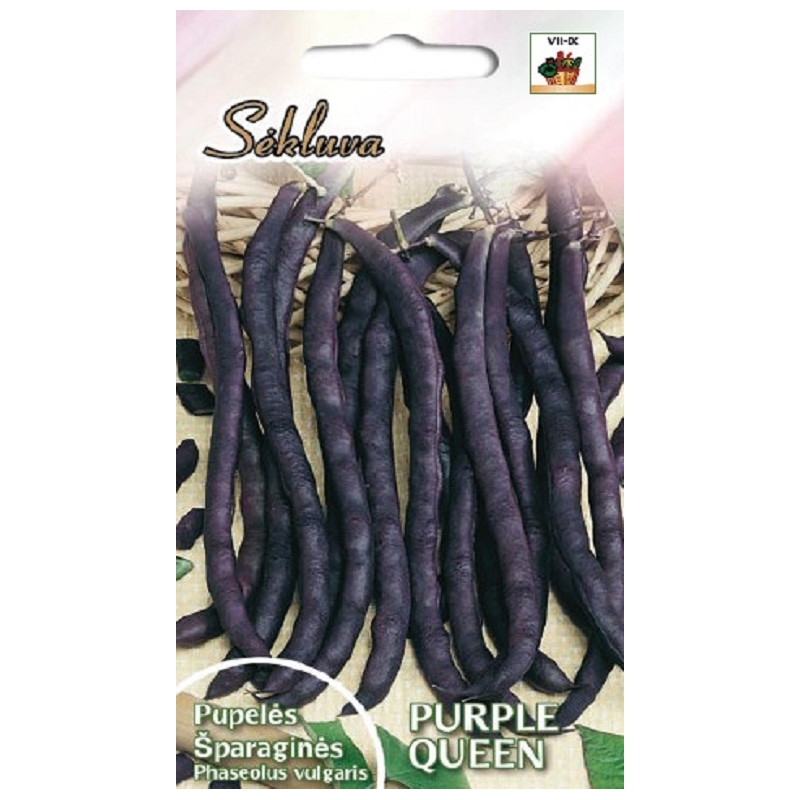 ŽEMAŪGĖS DARŽINĖS PUPELĖS PURPLE QUEEN 10 gr.