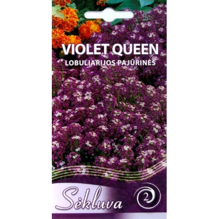 LOBULIARIJOS VIOLET QUEEN  0,5gr.