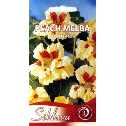 NASTURTĖS PEACH MELBA 3 gr.