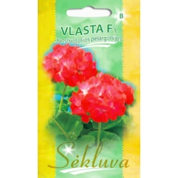 JUOSTUOTOSIOS PELARGONIJOS VLASTA F1  5 sėklos