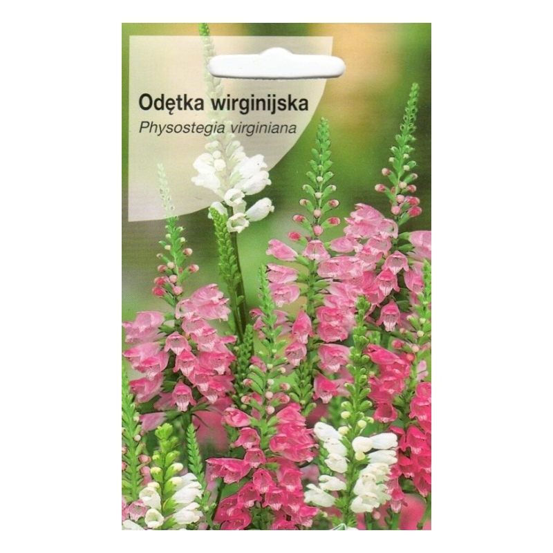 Virgininis pūstatauris (mišinys)  0,1gr