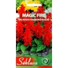 RAUDONŽIEDŽIAI ŠALAVIJAI MAGIC FIRE  0,3gr